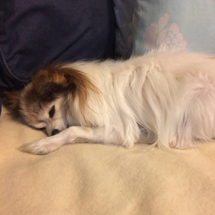 71109abb 1d0a 4c88 b4f1 8c3aa4cabc89