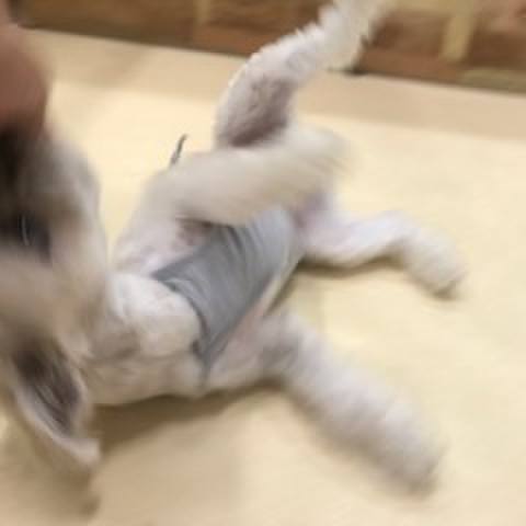 71111950 71d7 4193 9549 363031d7917a