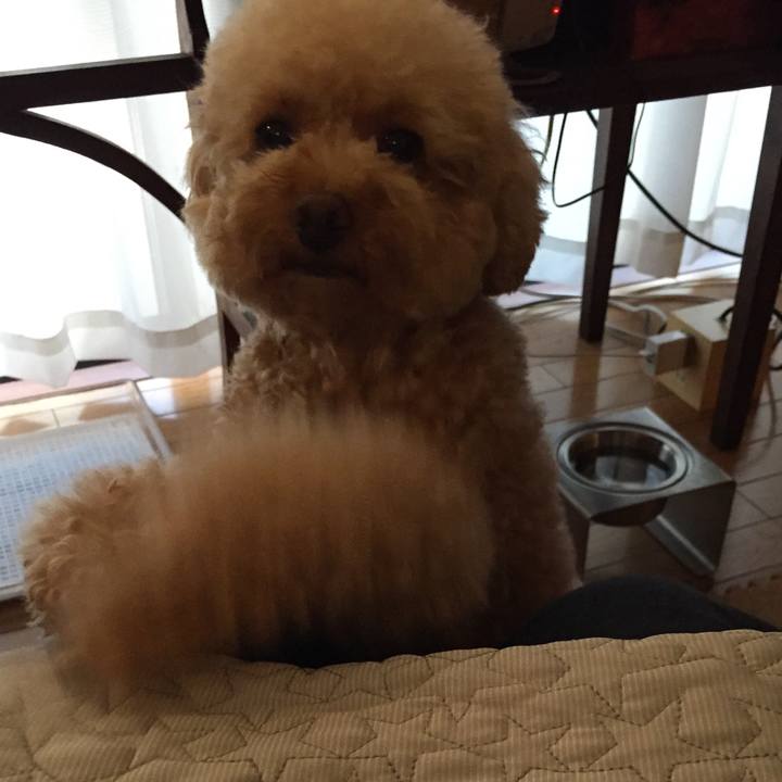 711150e8 474b 45d7 8896 a80b730c5f48