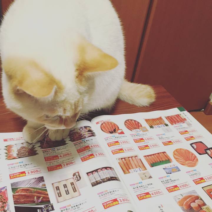 7112a757 eaa6 4caa aeb9 def0e02702c8