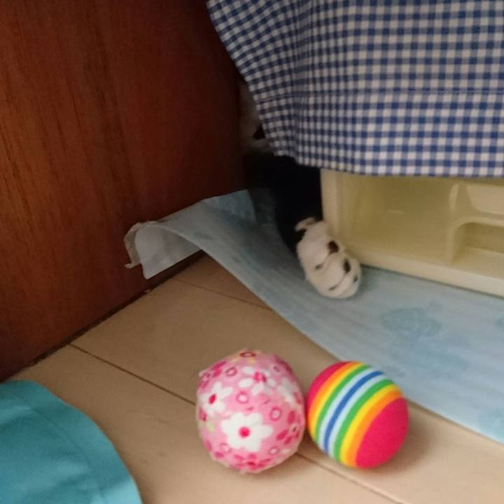 7112b819 495b 4e07 be45 8b9545f9d4d9