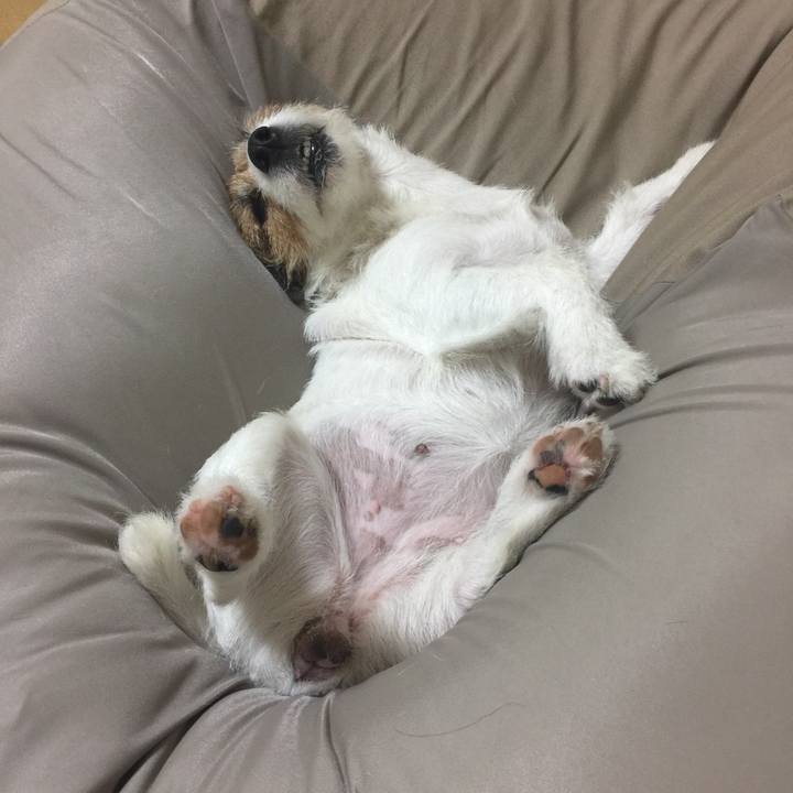 71132ad9 7b5a 4970 a708 68e716aac821