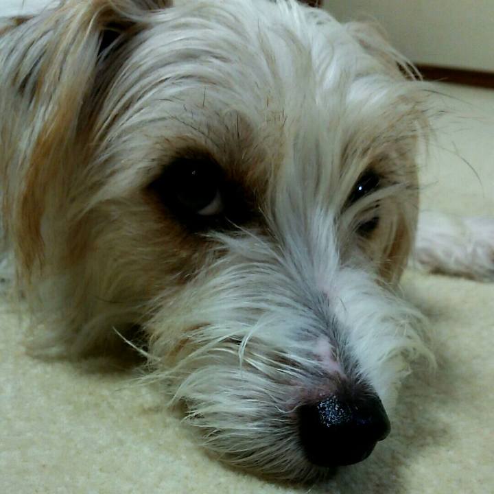 71146ec6 f7b4 42da ad4f c751b9ef9b1d