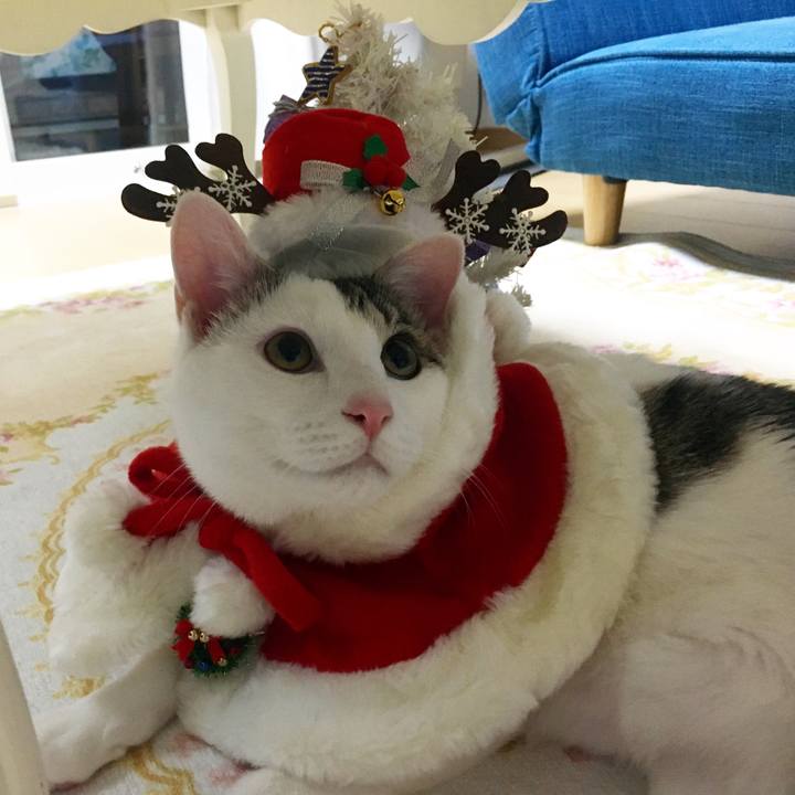 7114dad2 f0ed 48ad a98f 32696c9570ac