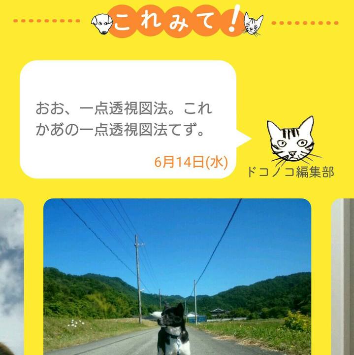 7114ec24 b724 4a88 98a3 945164b6c186