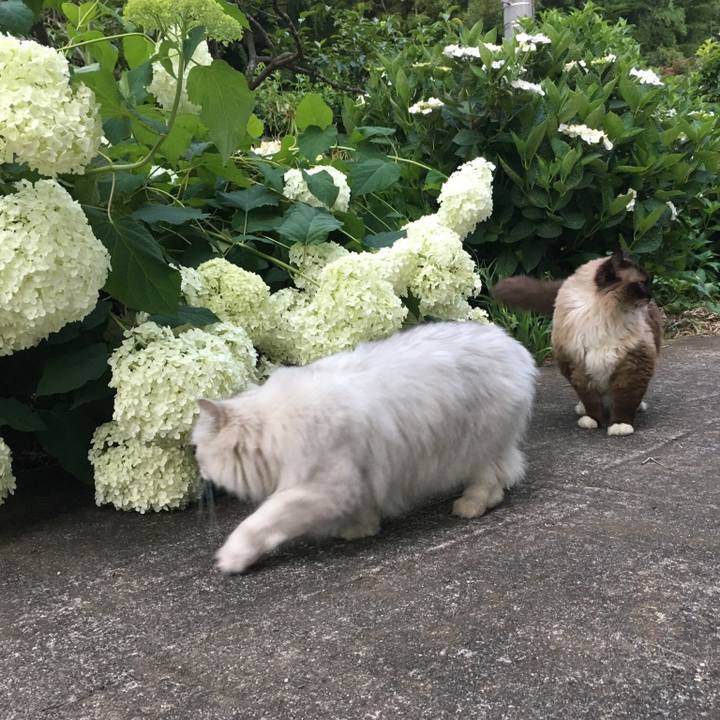 7115c3a6 4b46 407e be95 9ae5f4d3bc8e