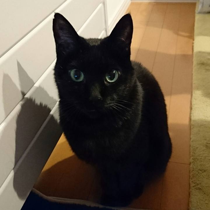 7116d824 e904 4d83 a415 e35c201503d3