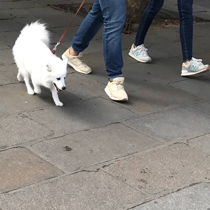 7117ba8e e5c1 41b9 a66e 1e3b54154662