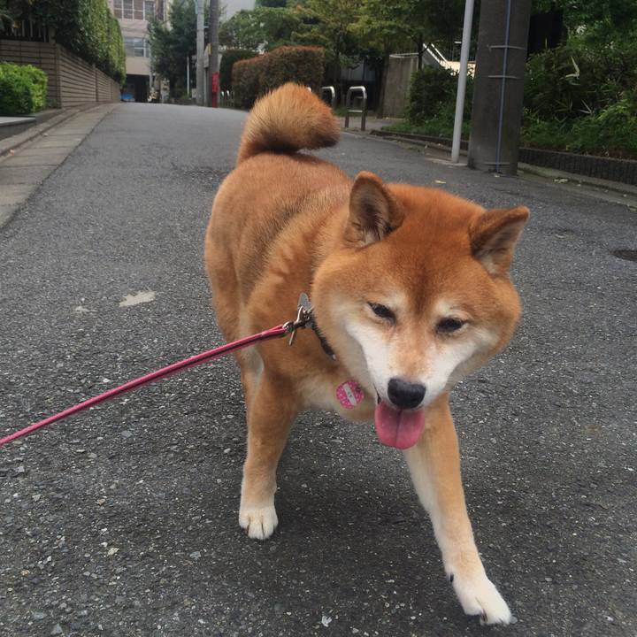 7117caf0 54c6 4824 901e 7ad84dc95300