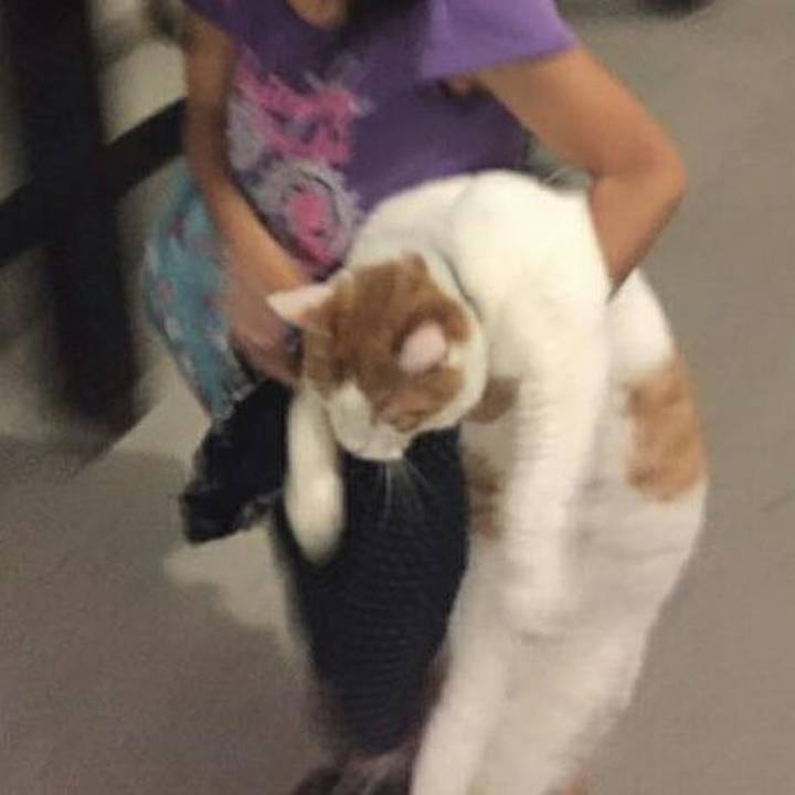 7117e4b3 fa51 4afa 886f 949617443f73