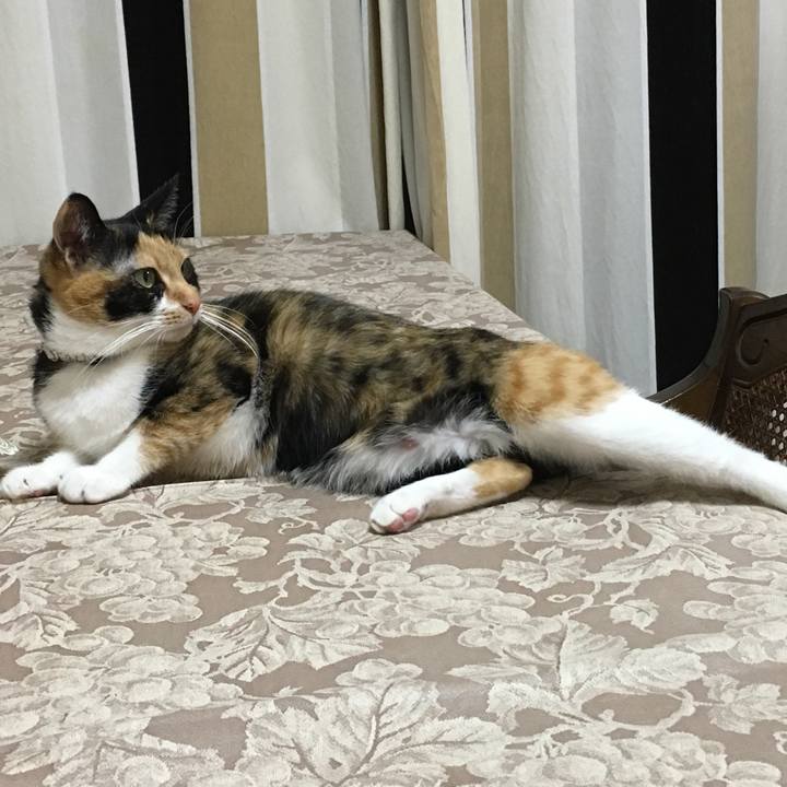 71183dcc 73fb 4b97 a9b9 019464d25b93