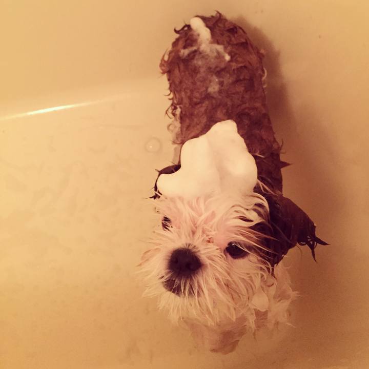 71186468 e708 46cd 9411 27da9aedfc04