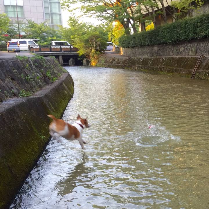 71187271 3d90 4c2f bd1d c921cdd856ec