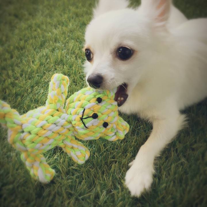 71187c7e 2e2f 4127 b4f9 b6a5c82672d0