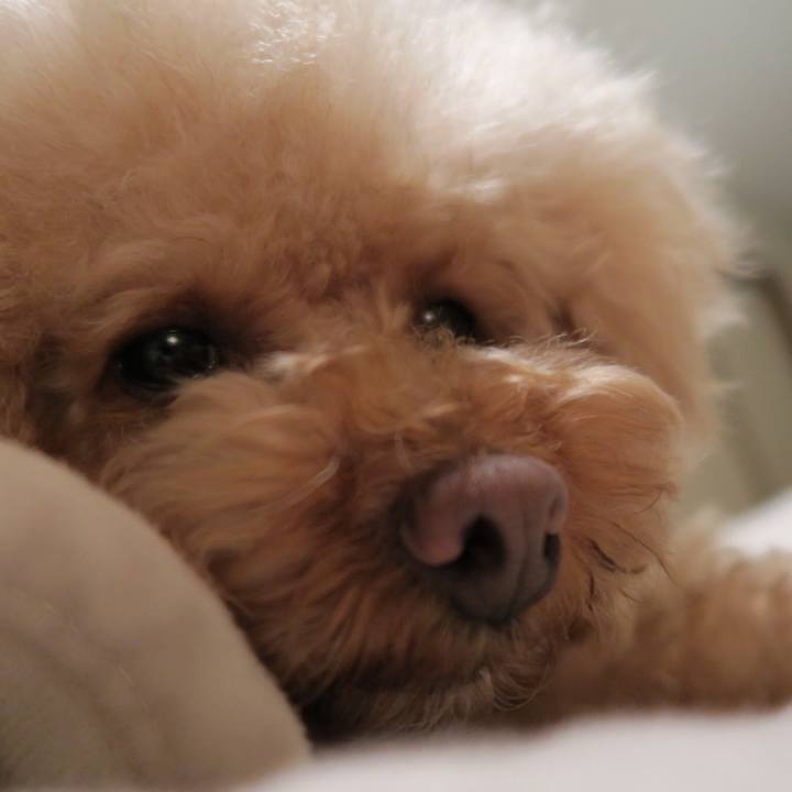 7118ccd7 0fa9 4c0f b732 4226dd2c4bb9