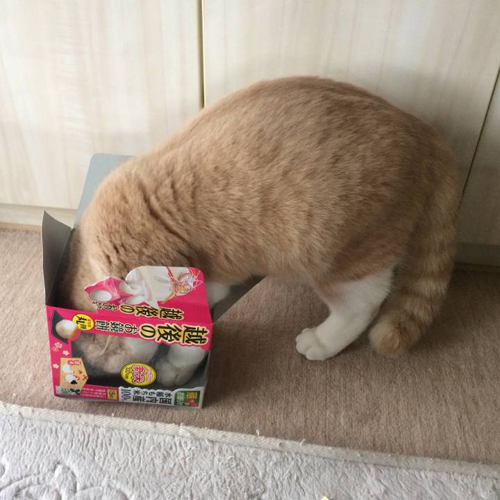 71195f31 2118 43bc b00e b83b7bb44579