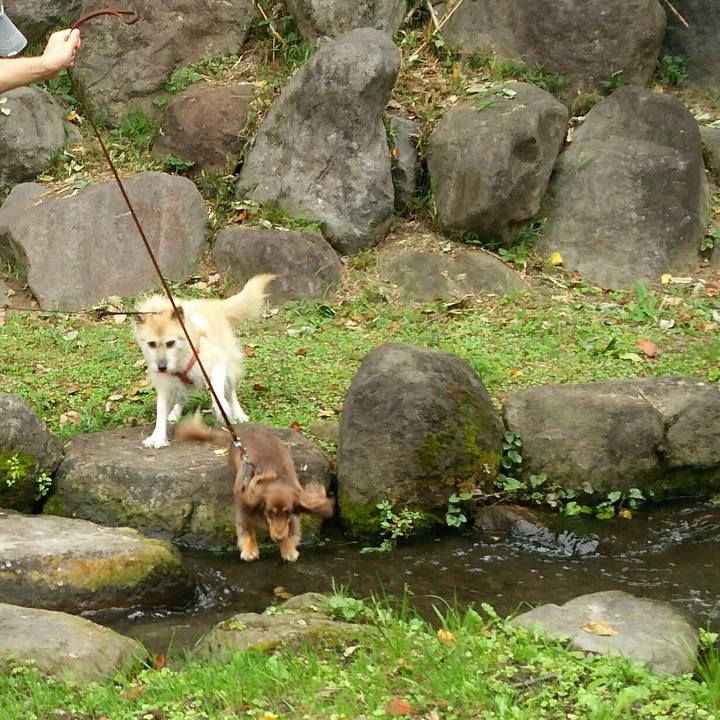 711a167e d877 4e9c bcc2 ab49a8de89d9