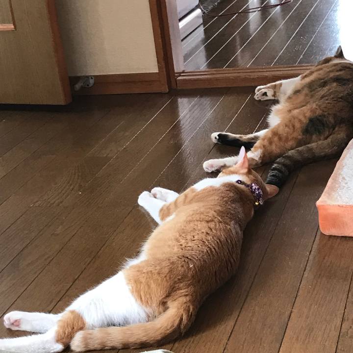 711a27c6 2b56 4caf a9e8 d2d9b56ffc14