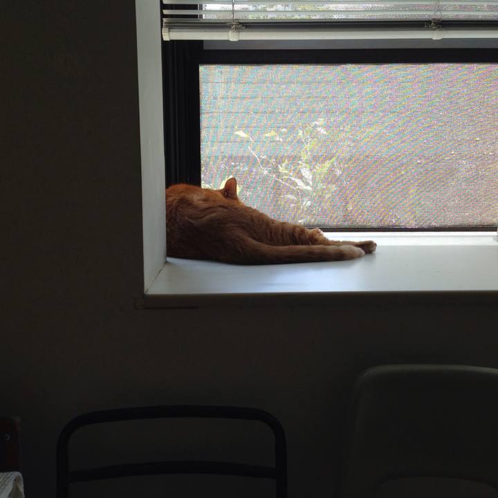 711a983b b599 4d3e 9615 df3ecbb6cb0e