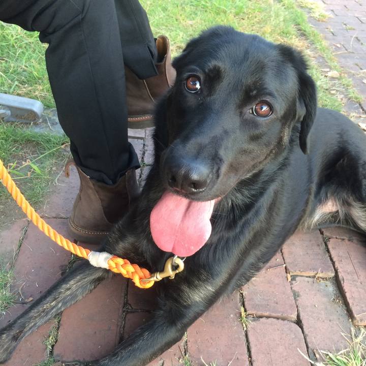 711af236 efe1 4693 b4e4 2b3500cae2cd