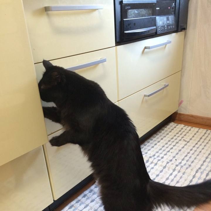 711b2335 6de7 4dcb 8399 5c7e1d0893b1