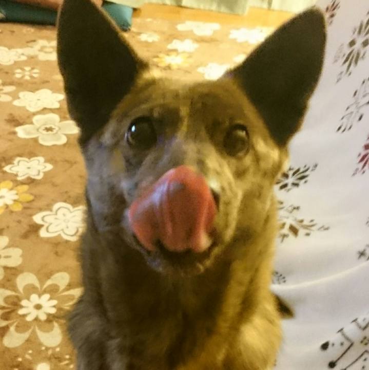 711f4d74 5c1f 4cab a329 89e312474870