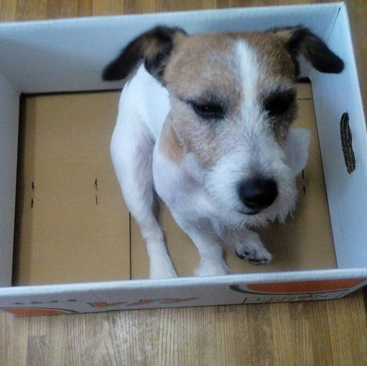 711fd6ce 54ba 4995 9e70 2b3dc1598bd1