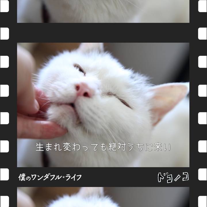 712030da 76f4 4bf8 a88e 3263e89e78dc