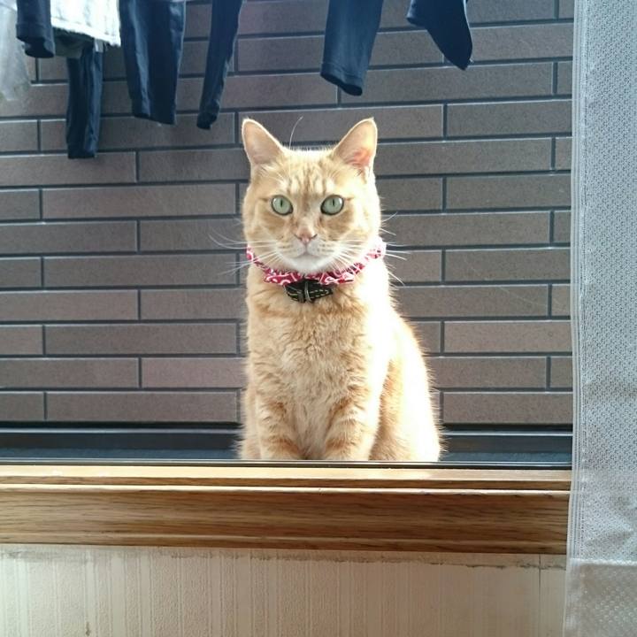 712135af e668 4023 a30a 05bd8df471fd