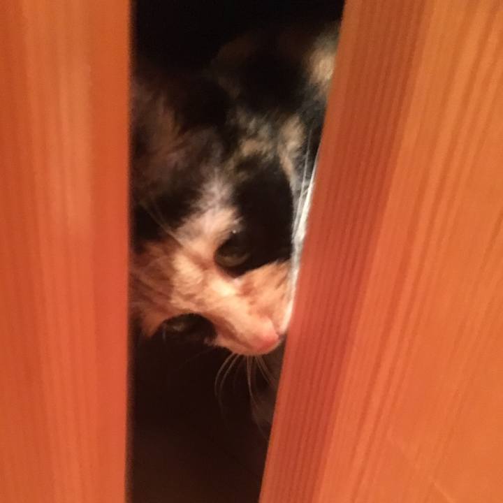 71217468 6f9d 4d3b 9d8d 745120e58118