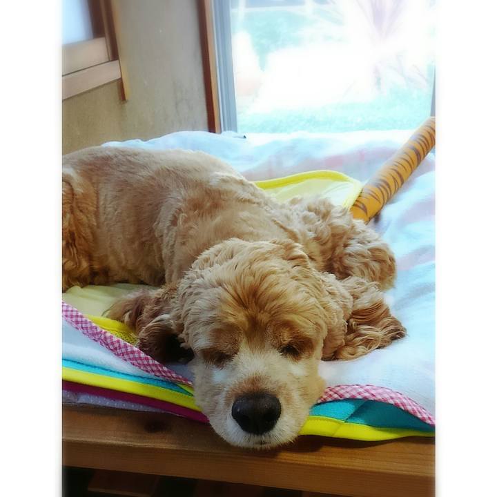 7121d1d3 01e7 41dc 99c0 87424cee3791