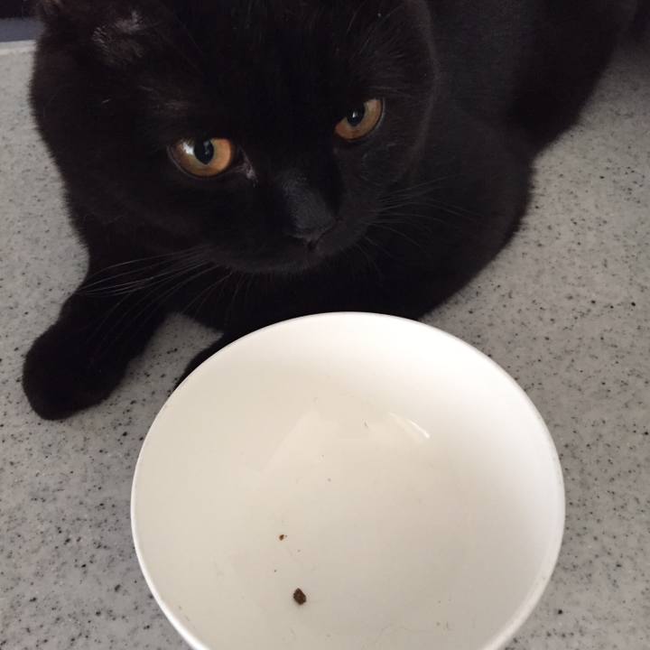 71220a30 b8f2 4b3e 9476 dc52b643b36a