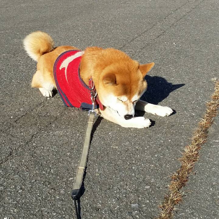 71227803 46bd 471c 8eb3 d77cd177f4b0