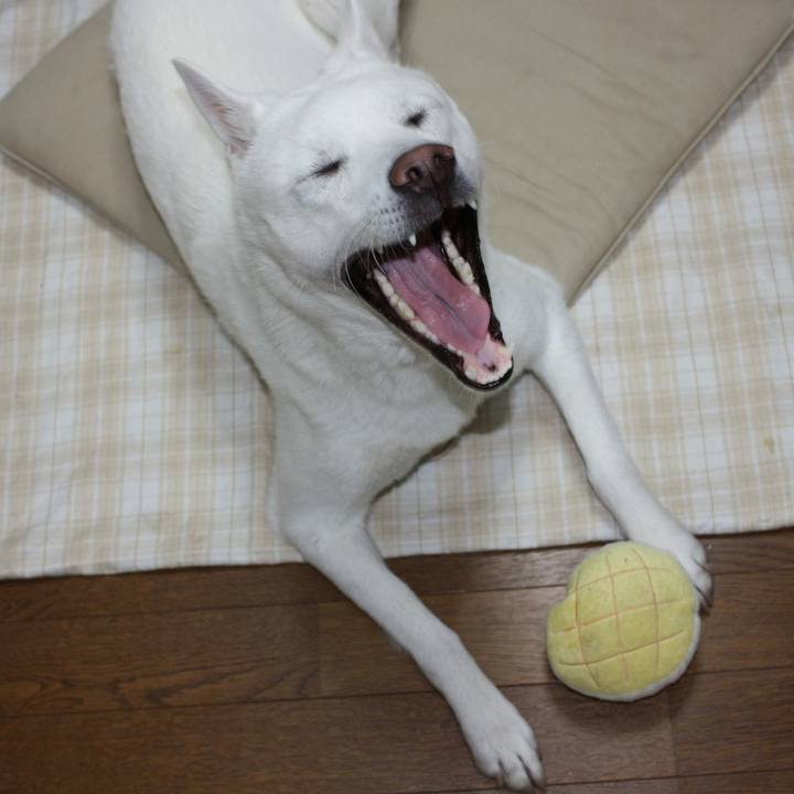 71230bb4 b4af 415f a50c 70d7567d35df