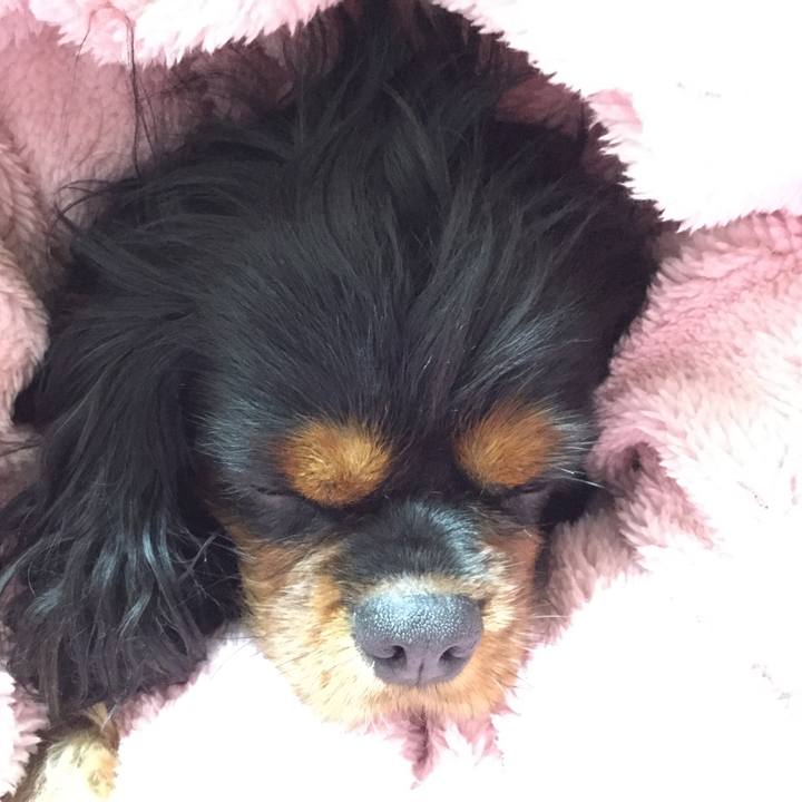 71231a6b b057 4853 97af 6d61acf8a4b8