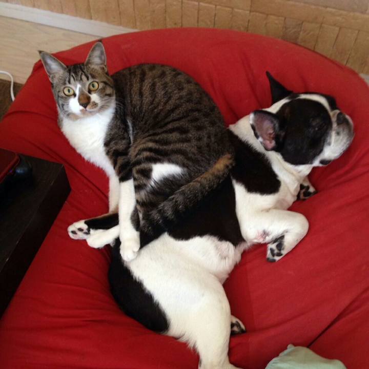 71234359 cbe4 45f9 8083 69fdf7cbd44c