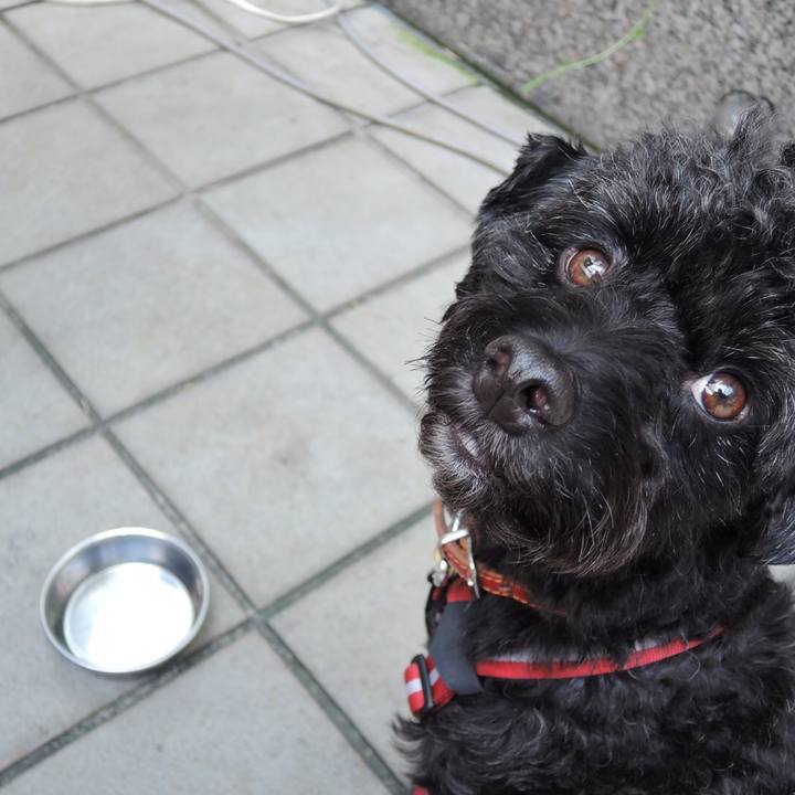 712349c7 f770 46fc a1ce 156f7442ea75