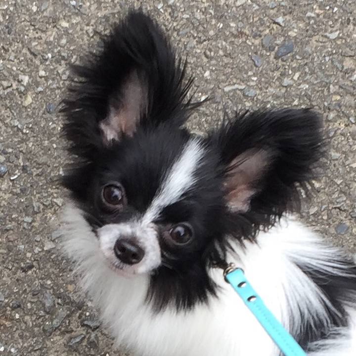 71236e25 0244 42b8 b5e1 83e4f402ef67