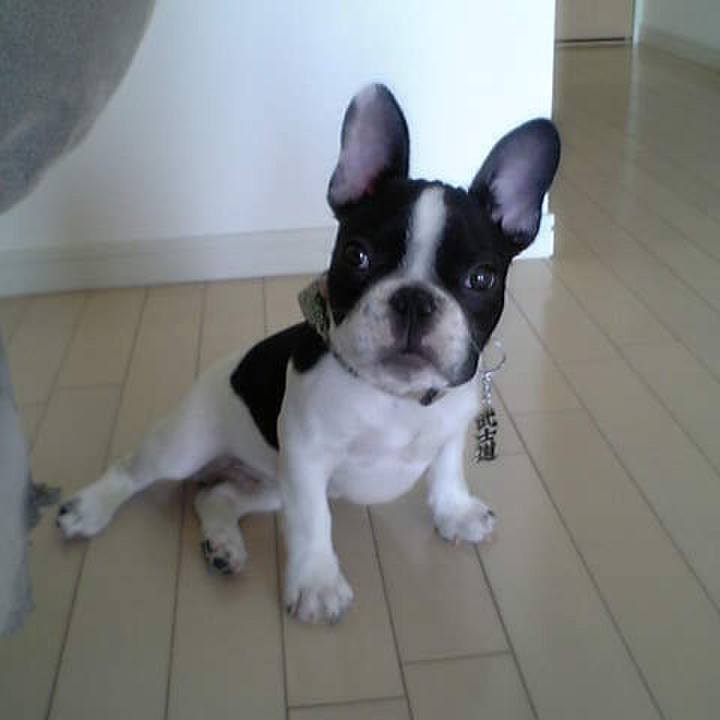 7123dc48 7199 4f51 b5a9 853734385a89