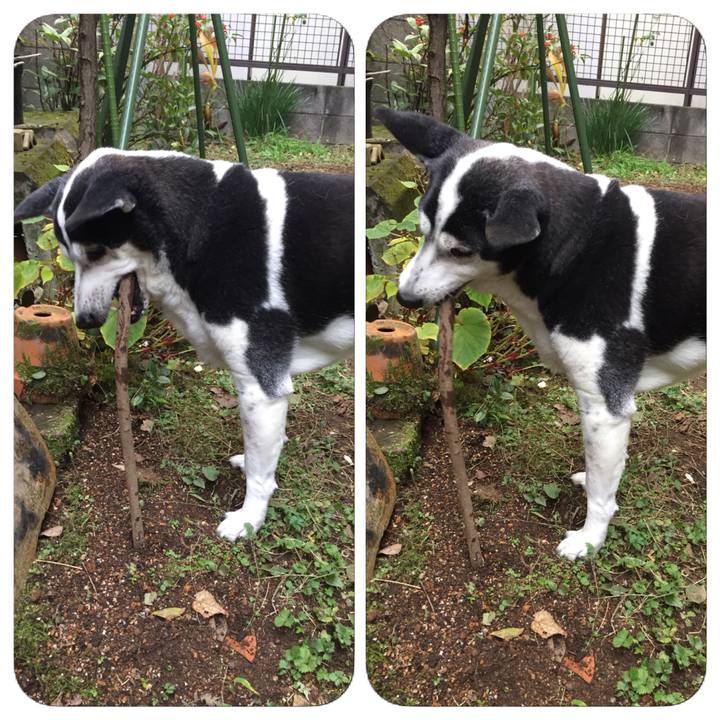 7123f1ed 2d97 4313 bf48 fc1302de4039