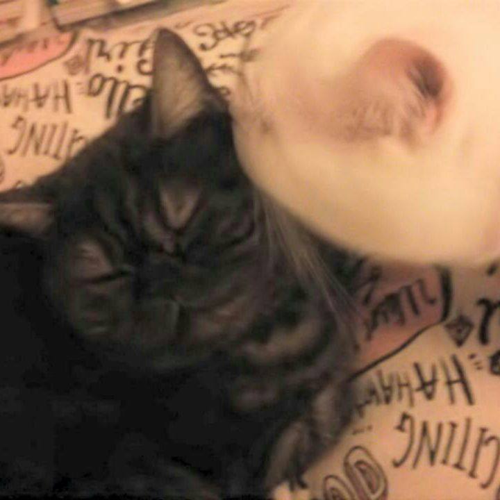 71250608 bc1a 415b 8096 4f03c37a3f10