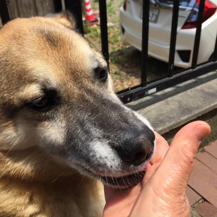 71261c98 271d 4dc2 9ceb 2bba8e67a9a4