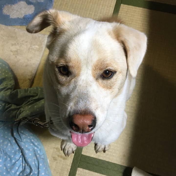 71276119 4b17 4f8e 9d04 4ae1c653b061