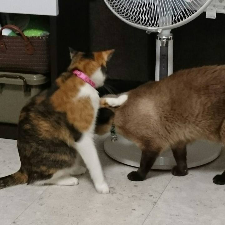 7127ccad dfc3 4287 b40f 9efe5d23a29c