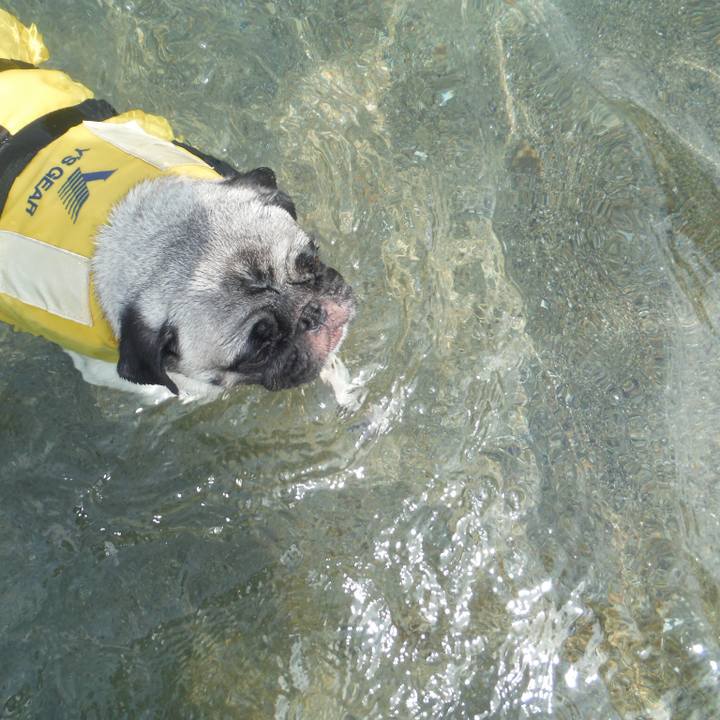 7127deb4 0141 43d0 ade7 ab7cccdf7e27