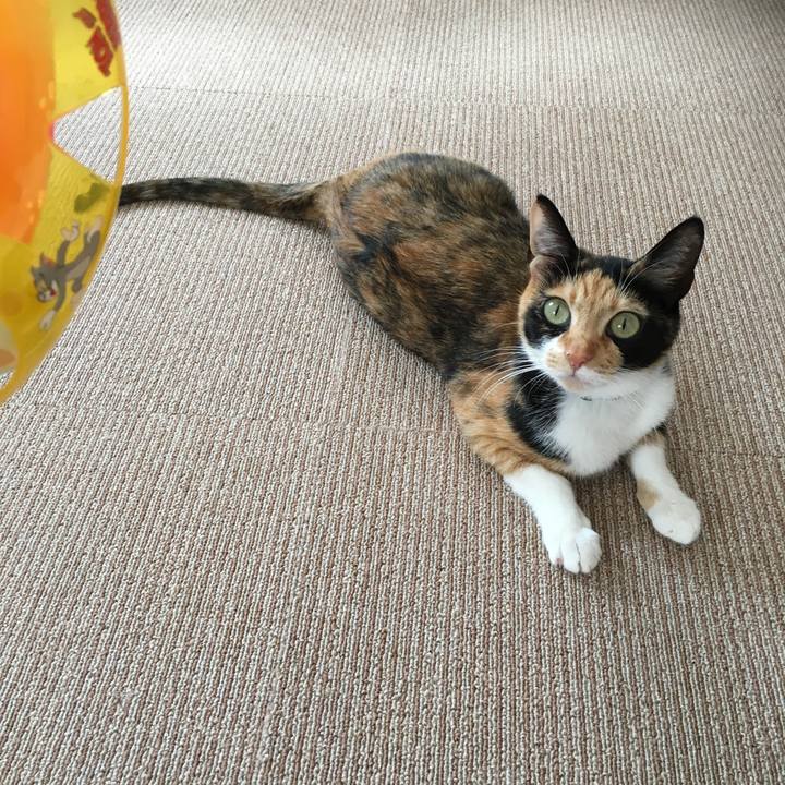 712826a6 672d 4411 abcd 2d6f95548d74