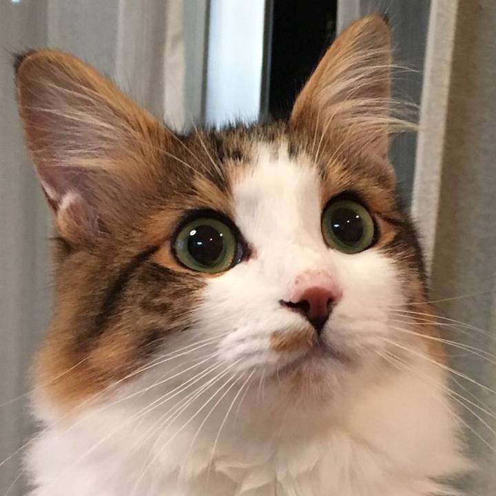 71293516 910f 42cc 9c04 3dd1842d1989