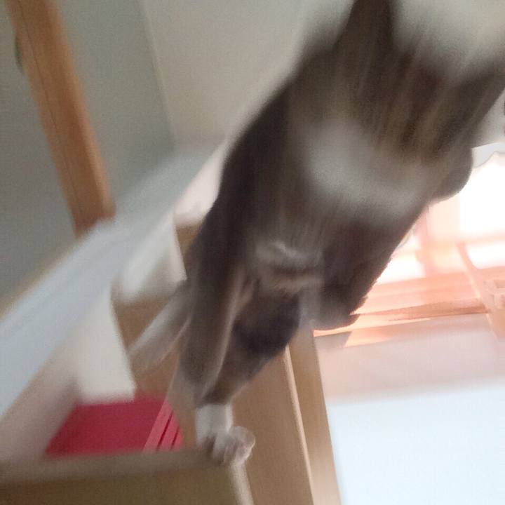 712947df 8496 4527 a751 a6af555e1a7b