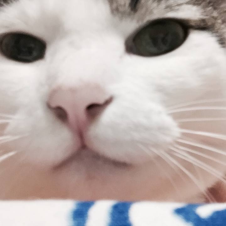 712a0bc0 2811 4659 b37d 5b9438dbf755