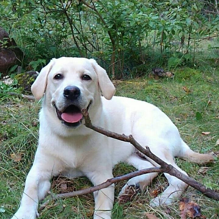 712a7122 60bb 4e41 955b a256b7fa012f